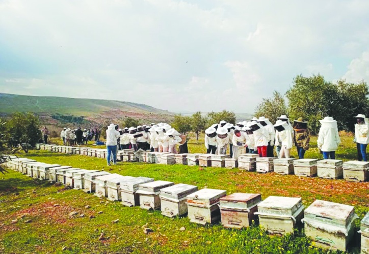 Yağışlar arıcıların da yüzünü güldürdü