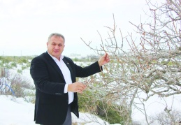 Borçlu olanlara kredi vermemek tarımın sürdürülebilirliğine zarar verir