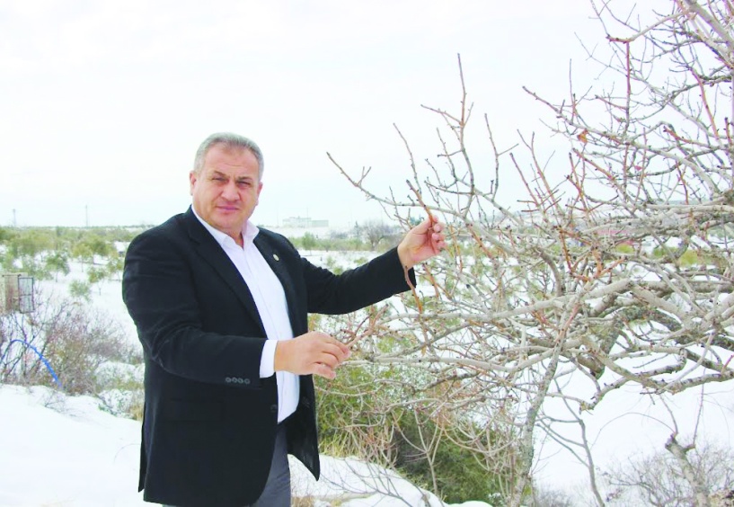 Borçlu olanlara kredi vermemek tarımın sürdürülebilirliğine zarar verir