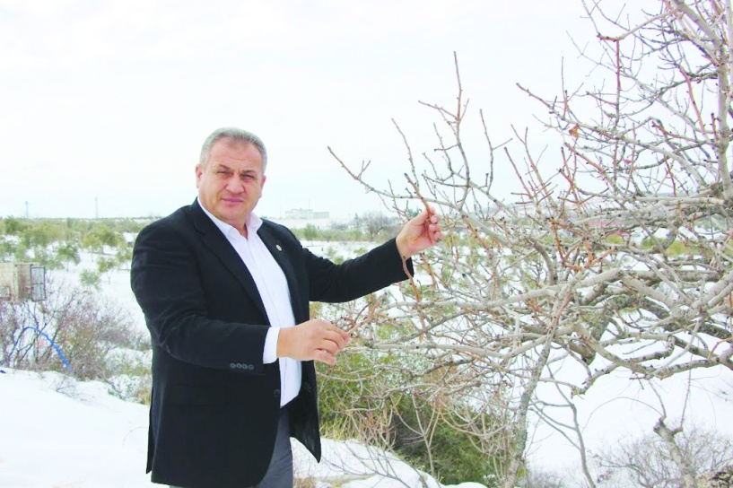 Borçlu olanlara kredi vermemek tarımın sürdürülebilirliğine zarar verir