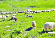 Tarım alanları imara açılacak alanlar  değil, geleceğimizin gıda depolarıdır