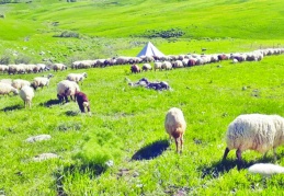 Tarım alanları imara açılacak alanlar  değil, geleceğimizin gıda depolarıdır