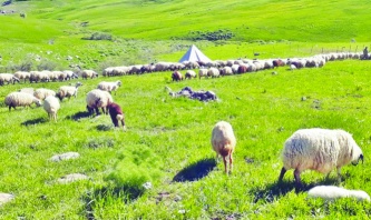Tarım alanları imara açılacak alanlar  değil, geleceğimizin gıda depolarıdır