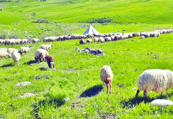 Tarım alanları imara açılacak alanlar  değil, geleceğimizin gıda depolarıdır