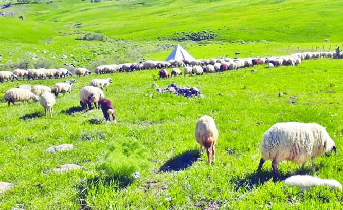 Tarım alanları imara açılacak alanlar  değil, geleceğimizin gıda depolarıdır