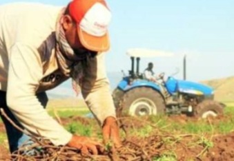 Kuraklık ve zirai donun vurduğu üreticiye bir darbe de iktidardan geldi