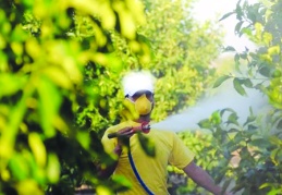 Tarımda ilaçlamaya reçete uygulaması geliyor