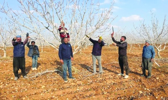 Mart ve Nisan aylarında da yağış alırsak hububatta rekolte kırabiliriz