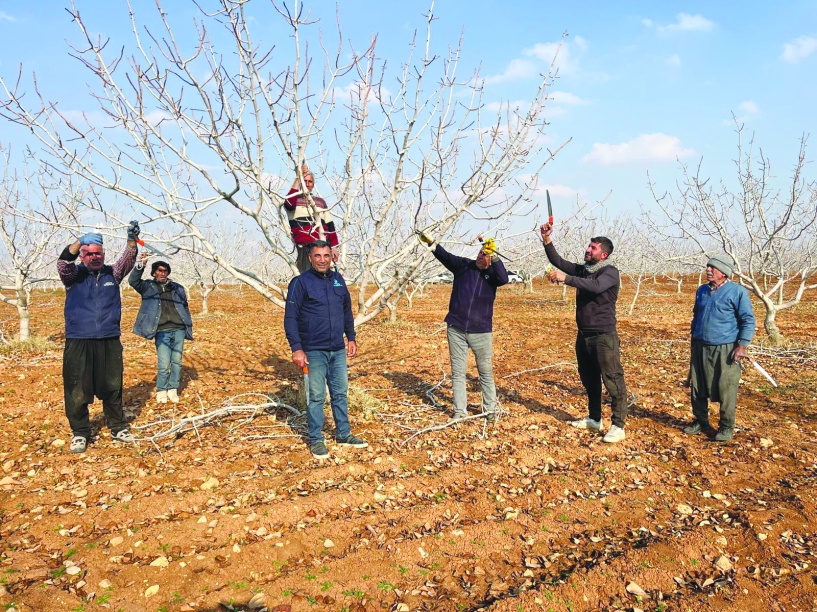 Mart ve Nisan aylarında da yağış alırsak hububatta rekolte kırabiliriz