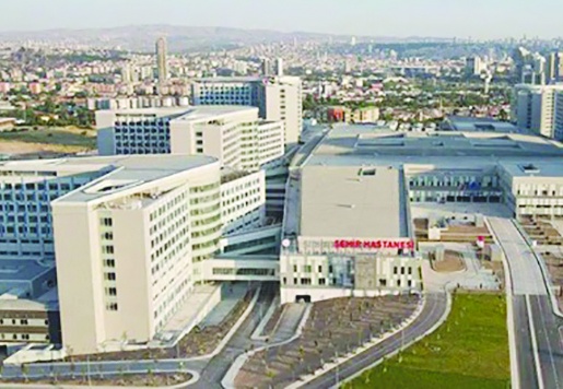 Şehir hastaneleri için bu yıl 78 milyar 678 milyon 556 bin TL ödenecek