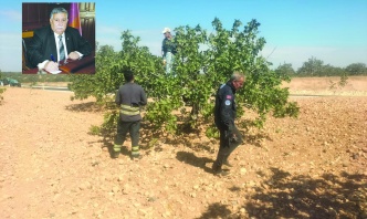 Rekabet edebilmek için fiyatlar  dünya standartlarında olmalı