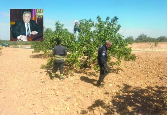 Rekabet edebilmek için fiyatlar  dünya standartlarında olmalı