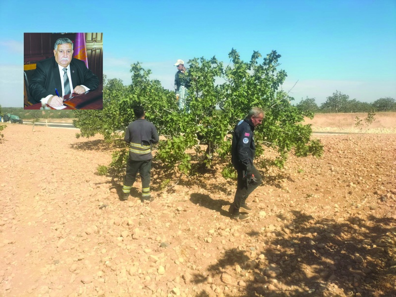 Rekabet edebilmek için fiyatlar  dünya standartlarında olmalı