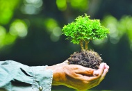 Çevre için Amazon’dan 1.5 milyon Avro destek