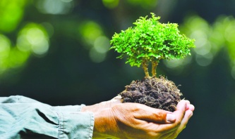 Çevre için Amazon’dan 1.5 milyon Avro destek