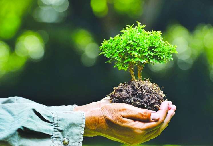 Çevre için Amazon’dan 1.5 milyon Avro destek