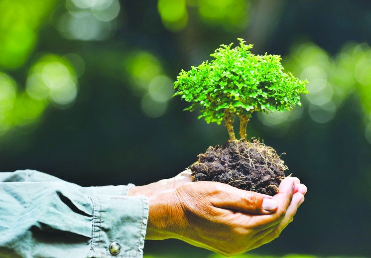 Çevre için Amazon’dan 1.5 milyon Avro destek