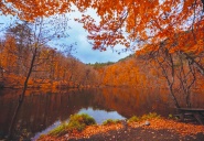 “Milli parklar ve tabiatı koruma alanları ticarileştirilecek”