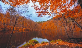 “Milli parklar ve tabiatı koruma alanları ticarileştirilecek”