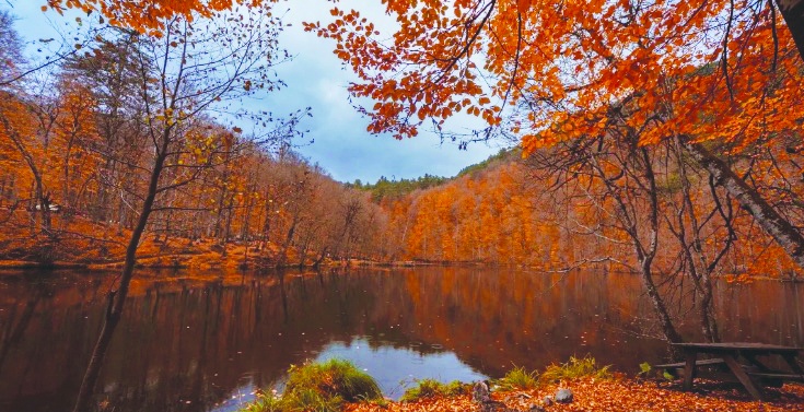 “Milli parklar ve tabiatı koruma alanları ticarileştirilecek”