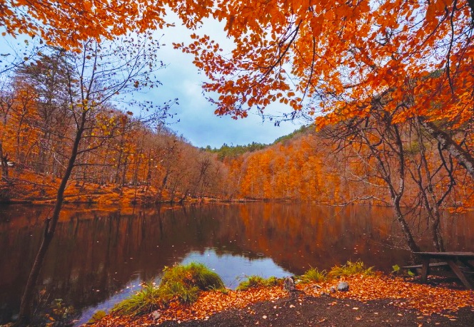 “Milli parklar ve tabiatı koruma alanları ticarileştirilecek”