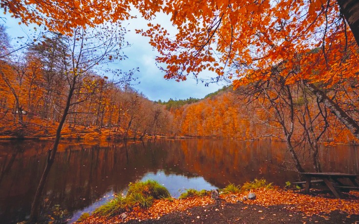 “Milli parklar ve tabiatı koruma alanları ticarileştirilecek”