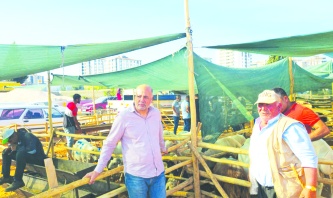 10 hayvan için aylık 15 bin lira  yıllık 180 bin lira destek verilecek