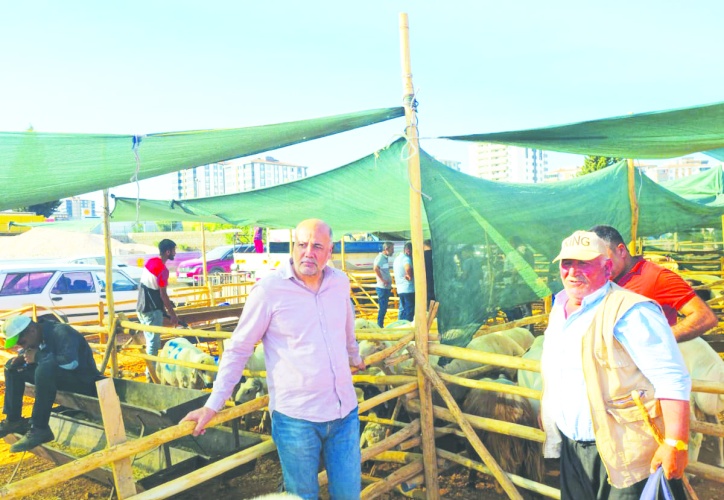 10 hayvan için aylık 15 bin lira  yıllık 180 bin lira destek verilecek