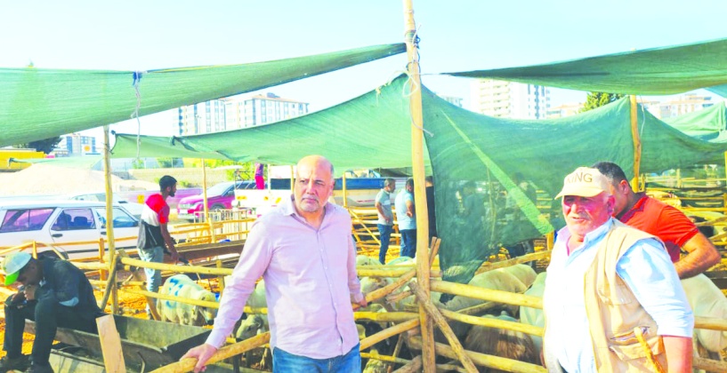 10 hayvan için aylık 15 bin lira  yıllık 180 bin lira destek verilecek