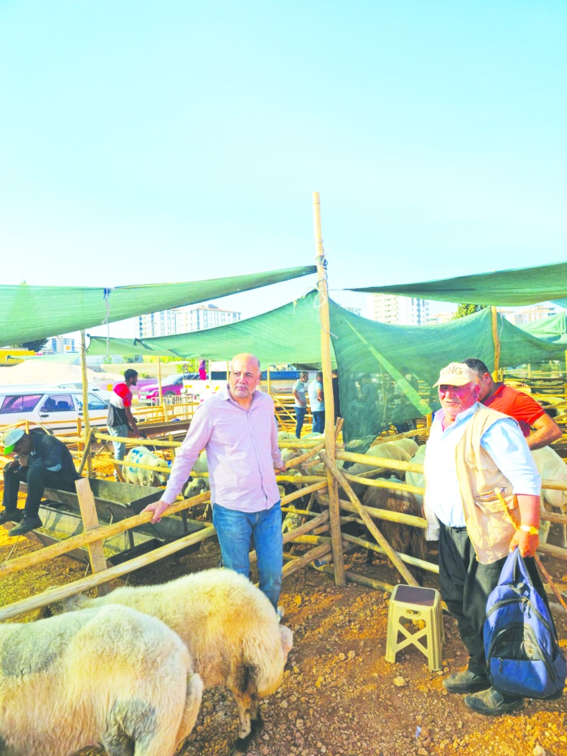 10 hayvan için aylık 15 bin lira  yıllık 180 bin lira destek verilecek