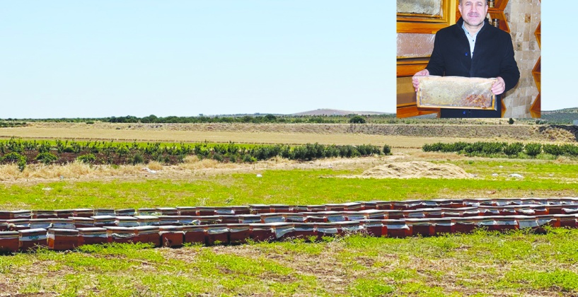 Mazota zam gelmesi gezgin  arıcıları zor durumda bırakıyor