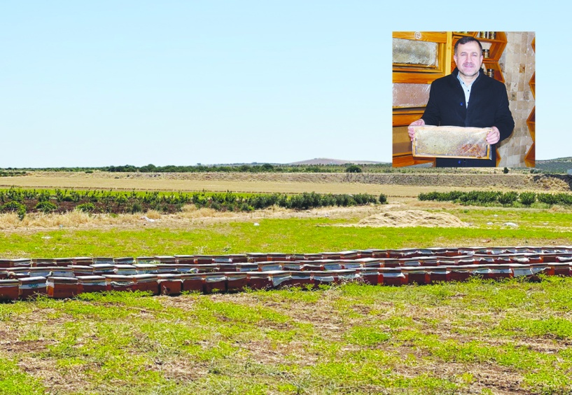 Mazota zam gelmesi gezgin  arıcıları zor durumda bırakıyor