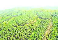 Antep’te bazı alanlar orman sınırları dışına çıkarıldı