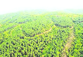 Antep’te bazı alanlar orman sınırları dışına çıkarıldı