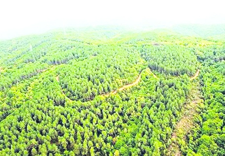 Antep’te bazı alanlar orman sınırları dışına çıkarıldı