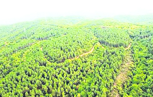 Antep’te bazı alanlar orman sınırları dışına çıkarıldı