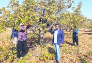 Mazota peş peşe gelen zam üretimi ve çiftçiyi zorluyor