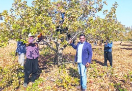 Mazota peş peşe gelen zam üretimi ve çiftçiyi zorluyor