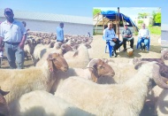 Kişi başına kırmızı et tüketimi  22 kilogramdan 16 kilograma düştü