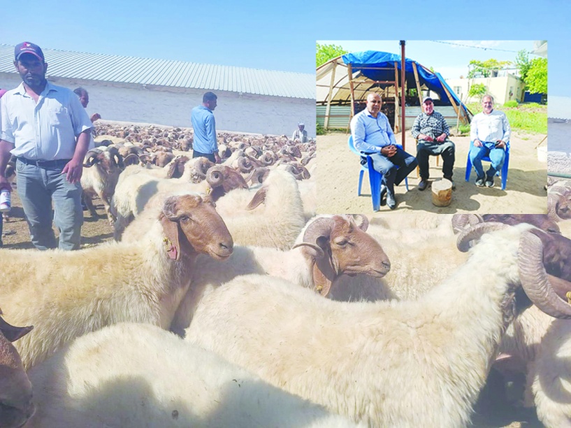 Kişi başına kırmızı et tüketimi  22 kilogramdan 16 kilograma düştü