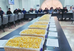 15 bin ton mısır ihale ile satıldı