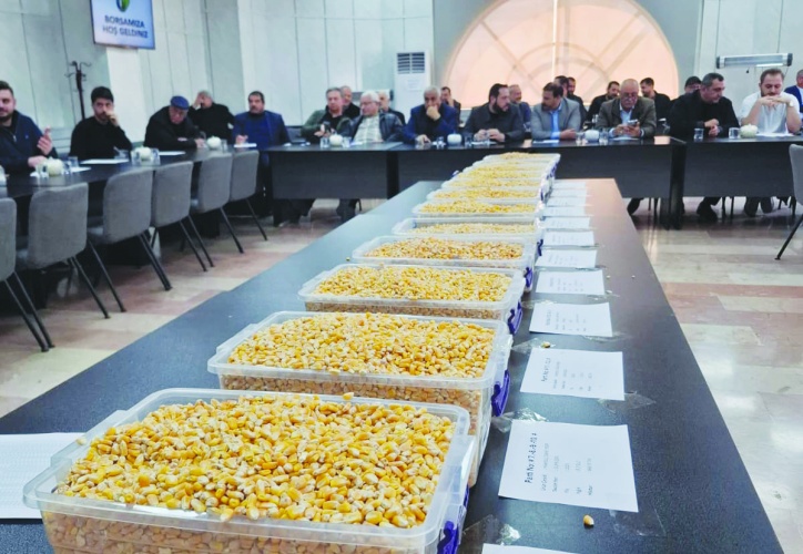15 bin ton mısır ihale ile satıldı