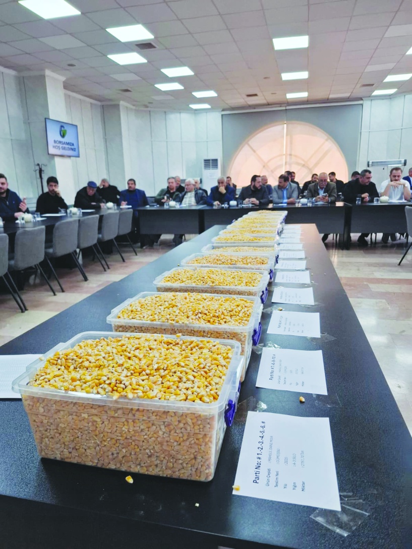 15 bin ton mısır ihale ile satıldı