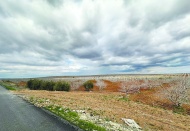 Suyun yaklaşık yüzde 79’u  tarımsal sulamada tüketiliyor