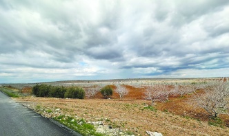 Suyun yaklaşık yüzde 79’u  tarımsal sulamada tüketiliyor