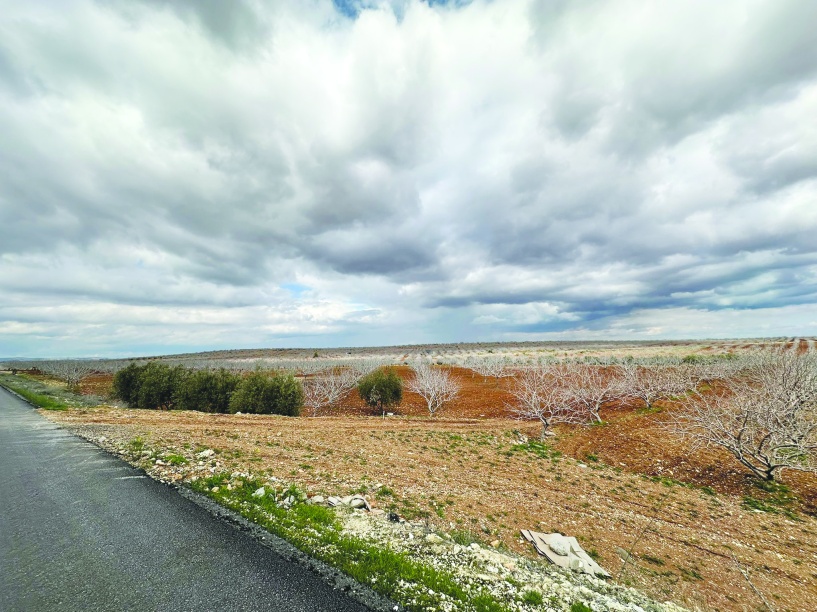 Suyun yaklaşık yüzde 79’u  tarımsal sulamada tüketiliyor