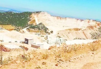 Tugay arazisinde mahkeme  kararına rağmen ağaç kesildi