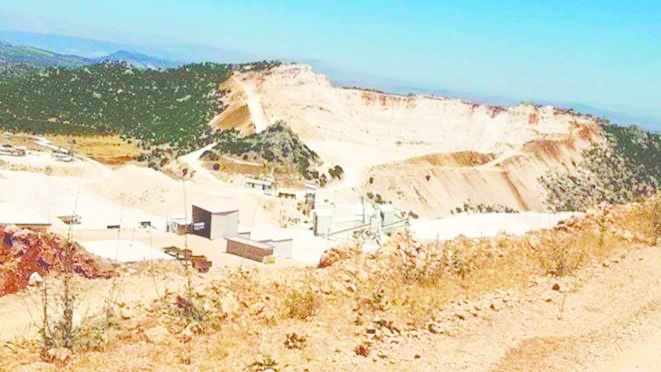 Tugay arazisinde mahkeme  kararına rağmen ağaç kesildi