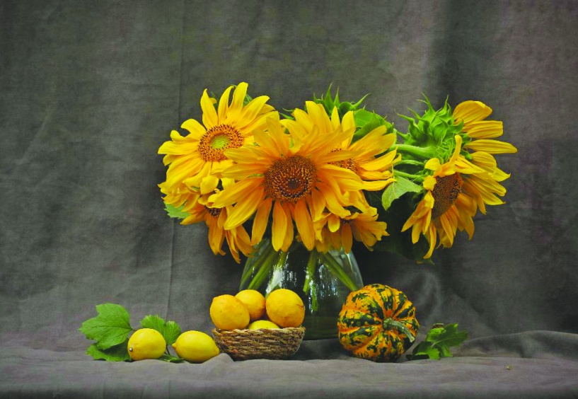 ‘’Işın’ın Işığı’’ sergisi sanatseverlerle buluşacak