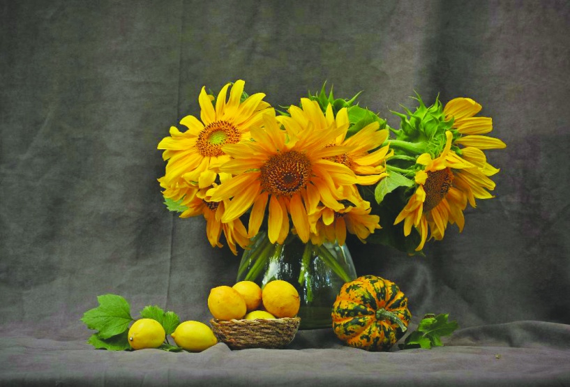 ‘’Işın’ın Işığı’’ sergisi sanatseverlerle buluşacak